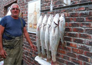 Goeie vangstes vir Pearly Beach